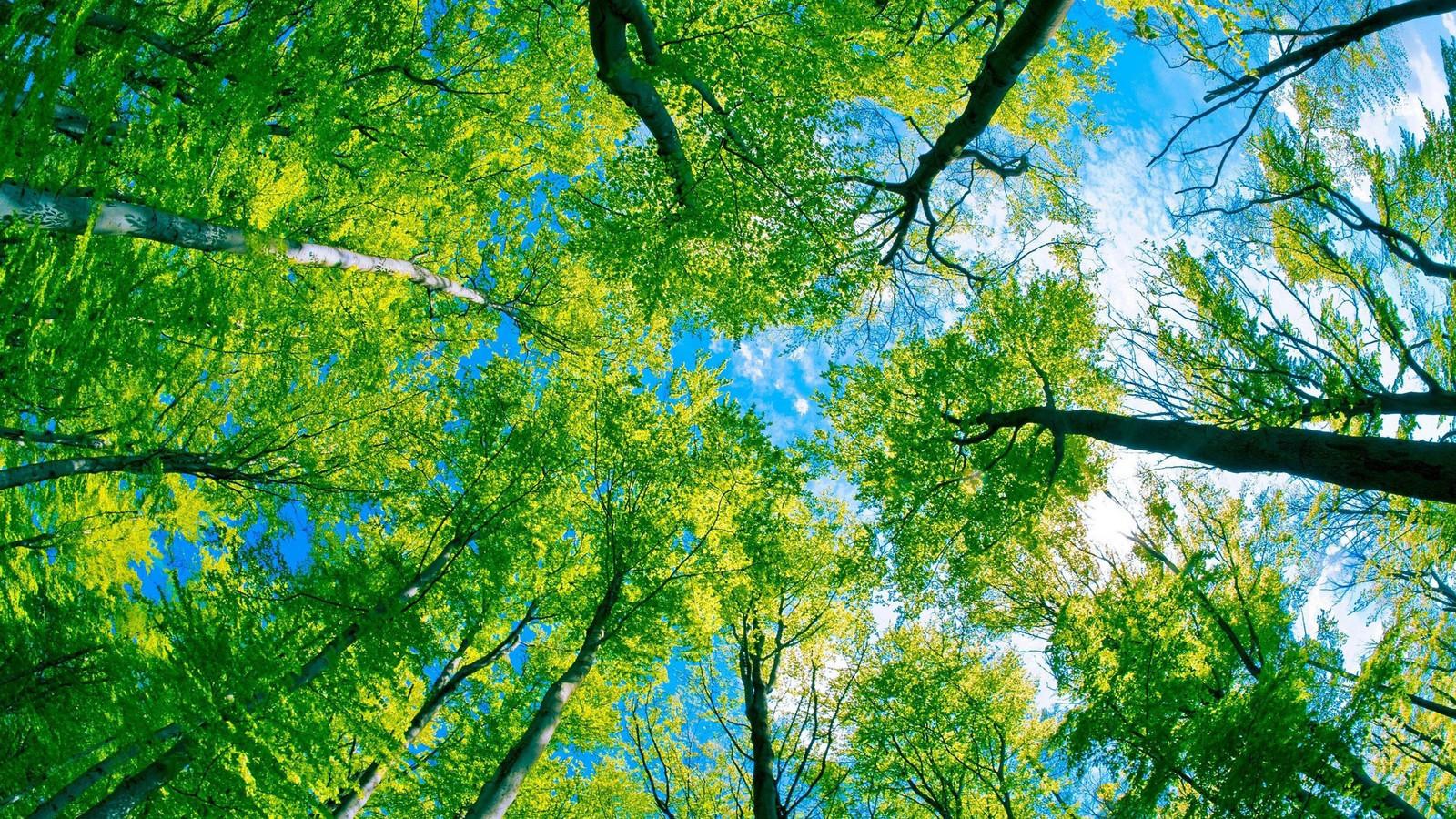 1620453336900749.jpg src=http___attach.bbs.miui.com_forum_201305_29_101838y2tkuxpfopkwzpvg.jpg&refer=http___attach.bbs.miui.jpg